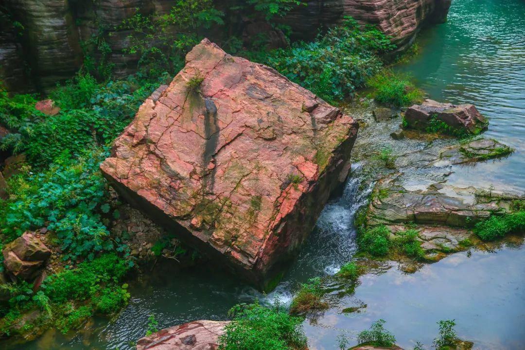 孤岛先锋